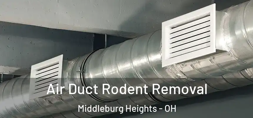  Air Duct Rodent Removal Middleburg Heights - OH