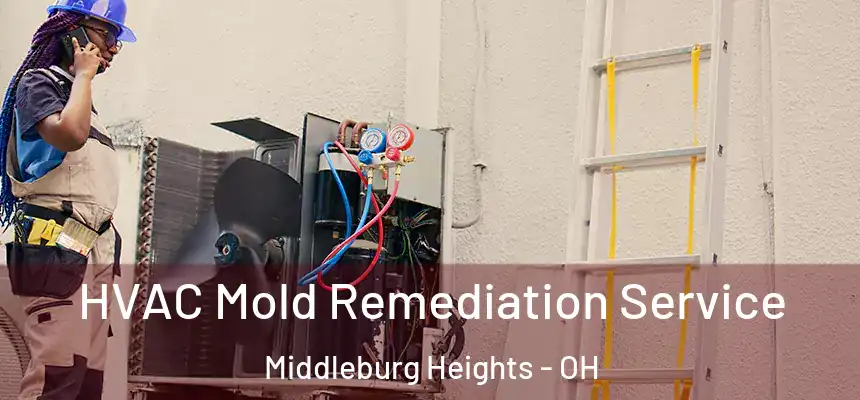  HVAC Mold Remediation Service Middleburg Heights - OH