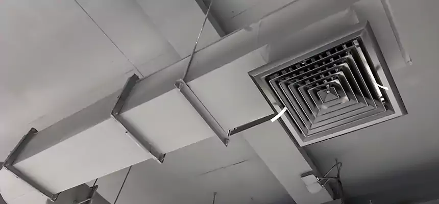 Our Pest Removal From Ducts Services in Middleburg Heights, OH