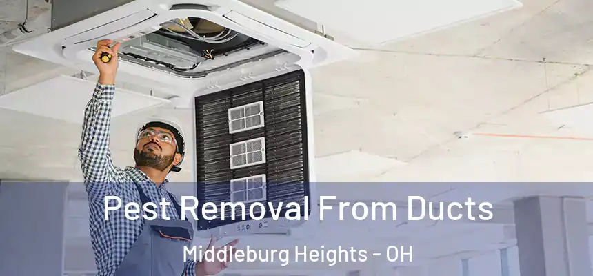  Pest Removal From Ducts Middleburg Heights - OH