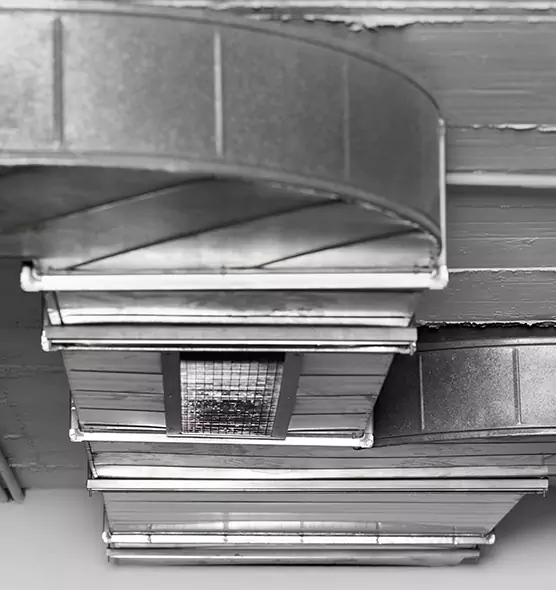 Professional Air Duct Pest Removal in Middleburg Heights, OH