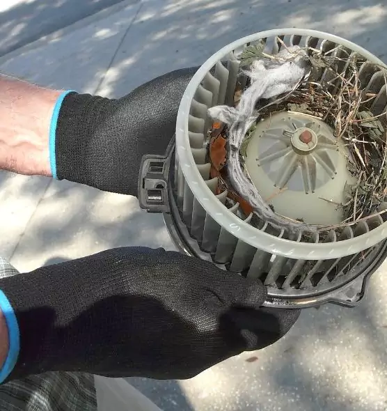 About Air Duct Rat Removal in Middleburg Heights, OH