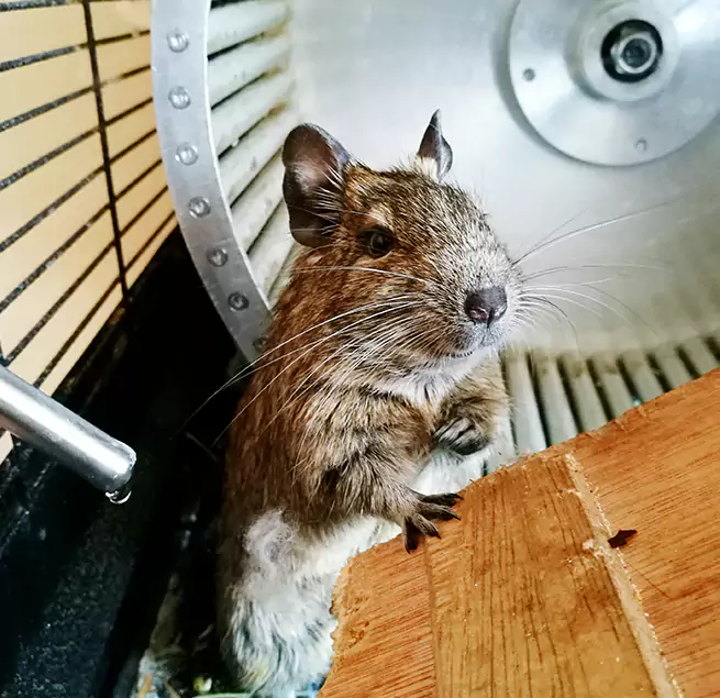 Why Homeowners & Businesses Trust Us Middleburg Heights, OH